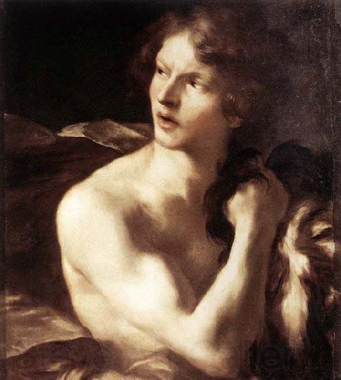 Gian Lorenzo Bernini David with the Head of Goliath Germany oil painting art
